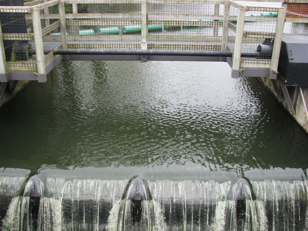 Photograph of Sluice Gates at Ellingham