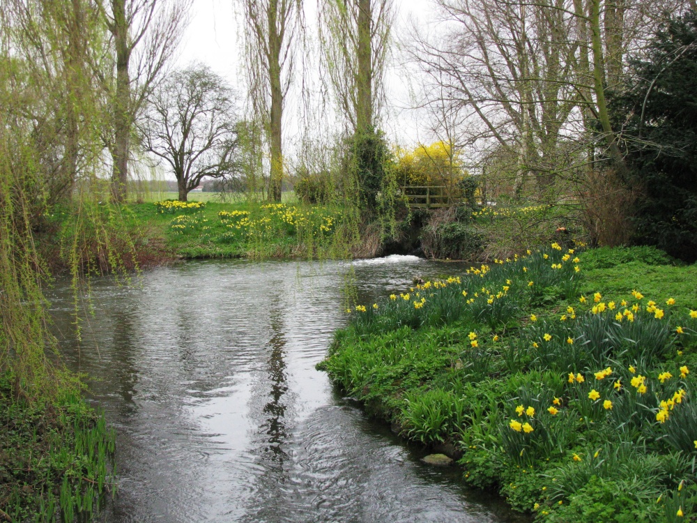 Photograph of Around Ellingham Mill