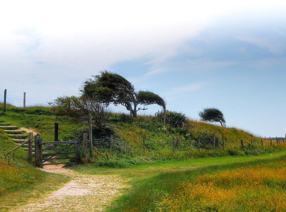Prevailing winds Cuckmere Haven