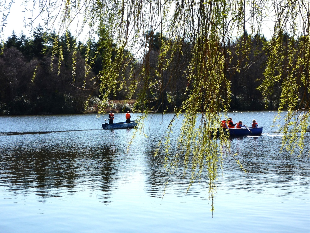 Photograph of Fritton Lake
