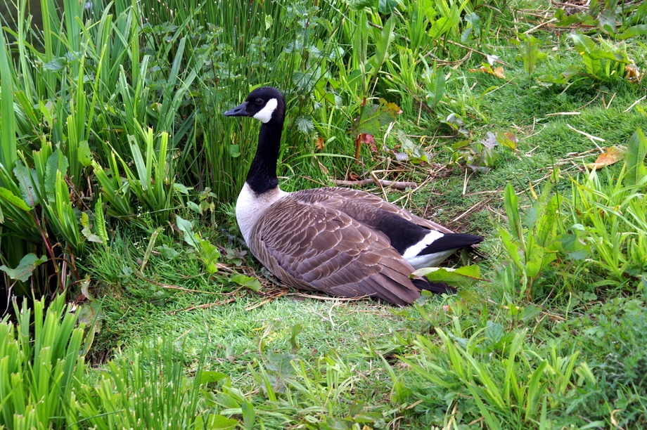 I will not be moved.