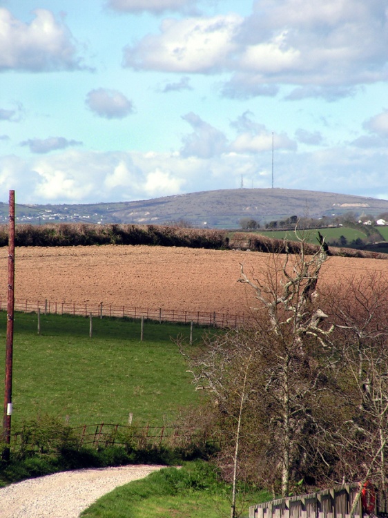 View from Trelawne Manor.