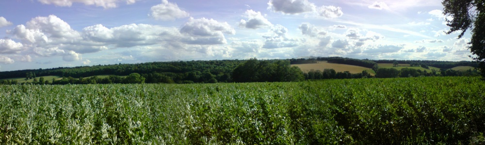 Photograph of Chess Valley, Little Chalfont