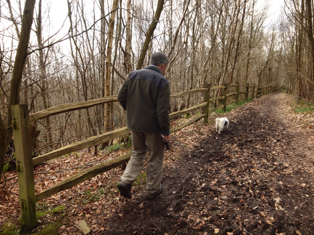 Greensand Way, Hanging Bank, Ide Hill, Kent