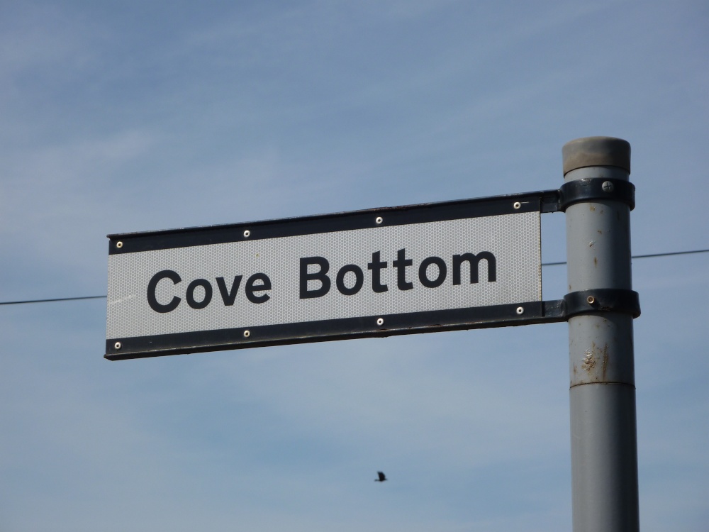 The pictures here are really taken at Cove Bottom