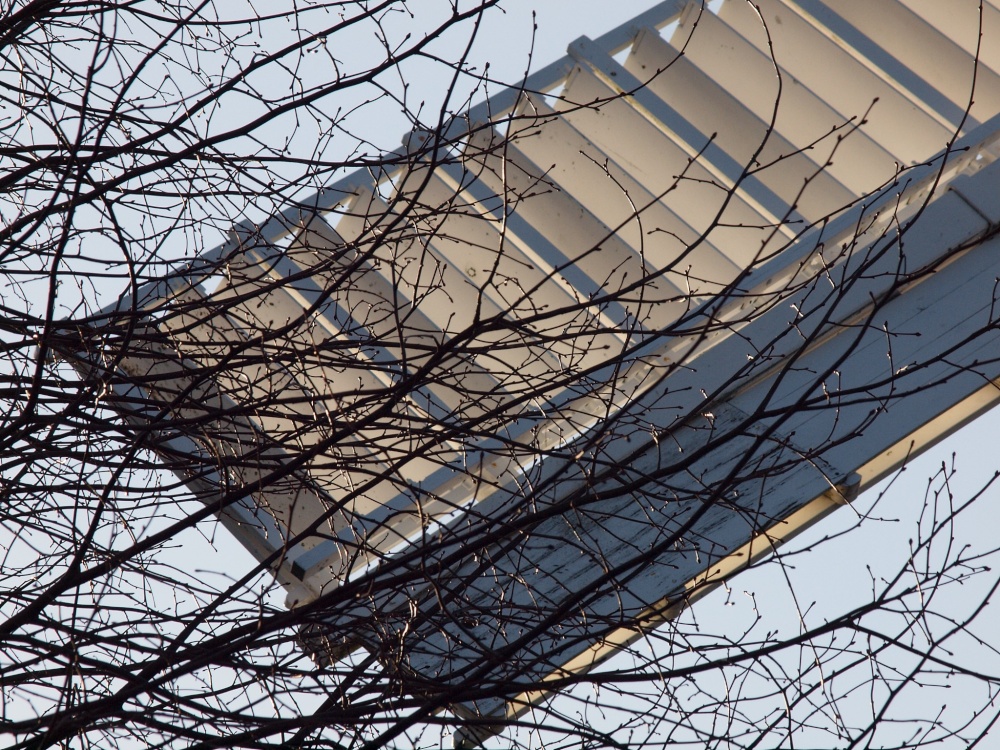 The Windmill, Wimbledon Common, London SW19