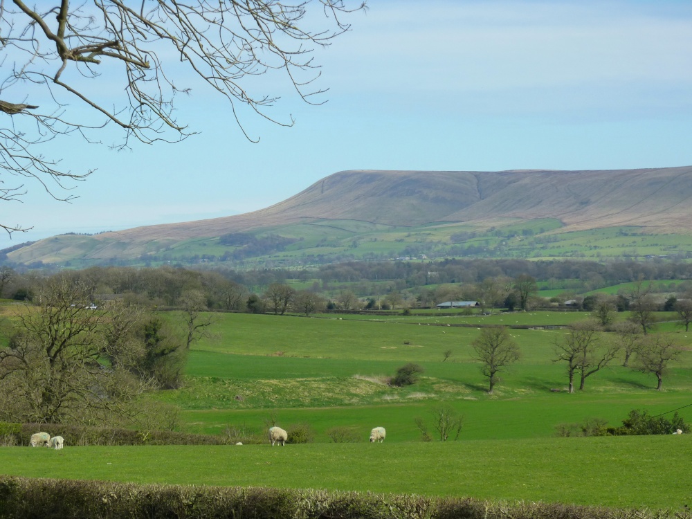 Pendle Hill