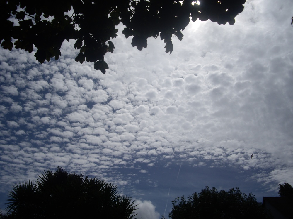 Photograph of Clouds at Dawlish