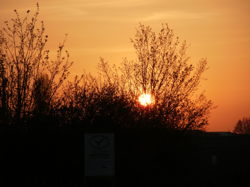 Volcanic ash sunset at Attenborough