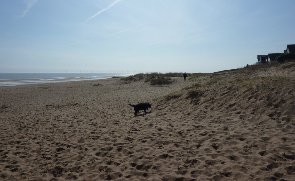 Photograph of The Beach