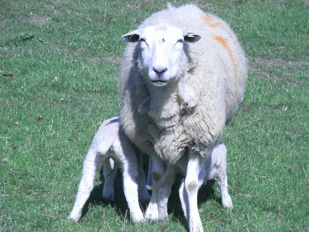 Photograph of Lunch Time