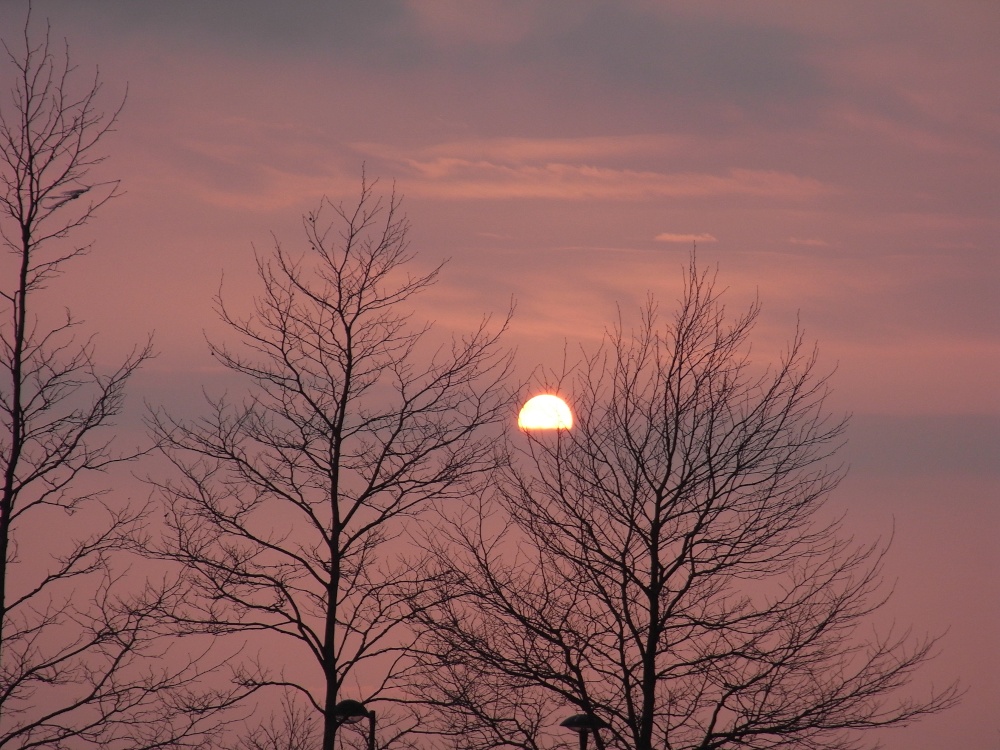Photograph of Sunset 15/04/2010