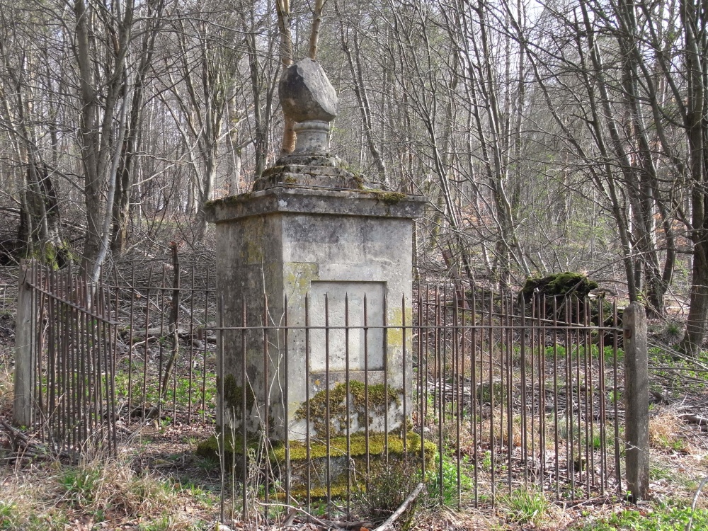 Photograph of Hidden in the forest