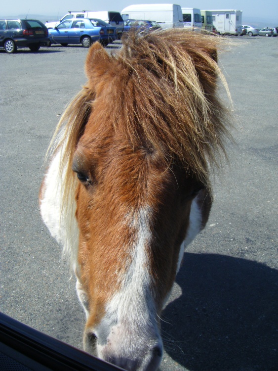 Can I have another ice cream cornet?