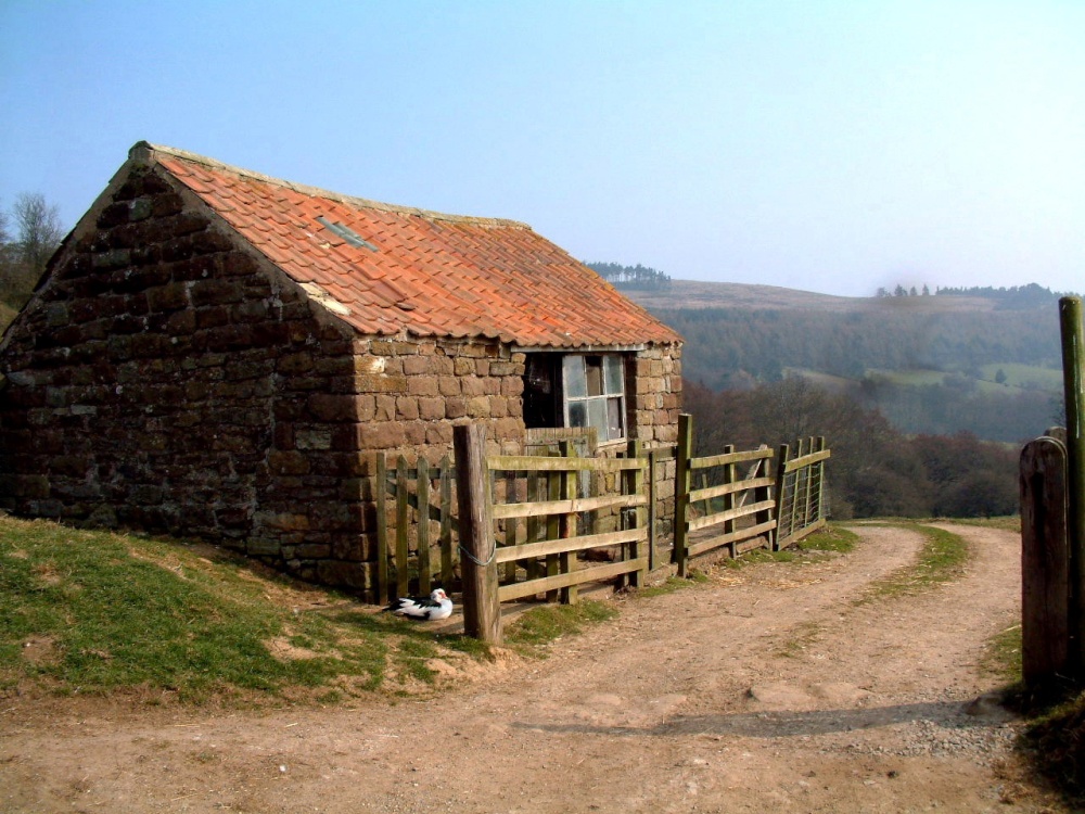 Photograph of Rosedale Barn