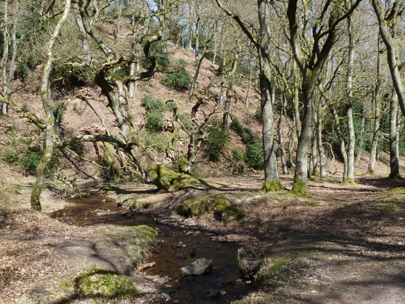 Quantock Hills
