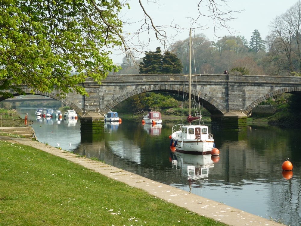 By the River Dart at Totnes