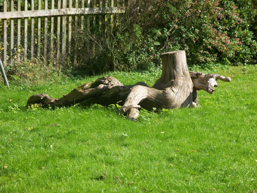 Did you see my head thataway