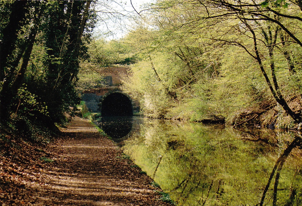 Grand Union Canal looking towards Braunston tunnel