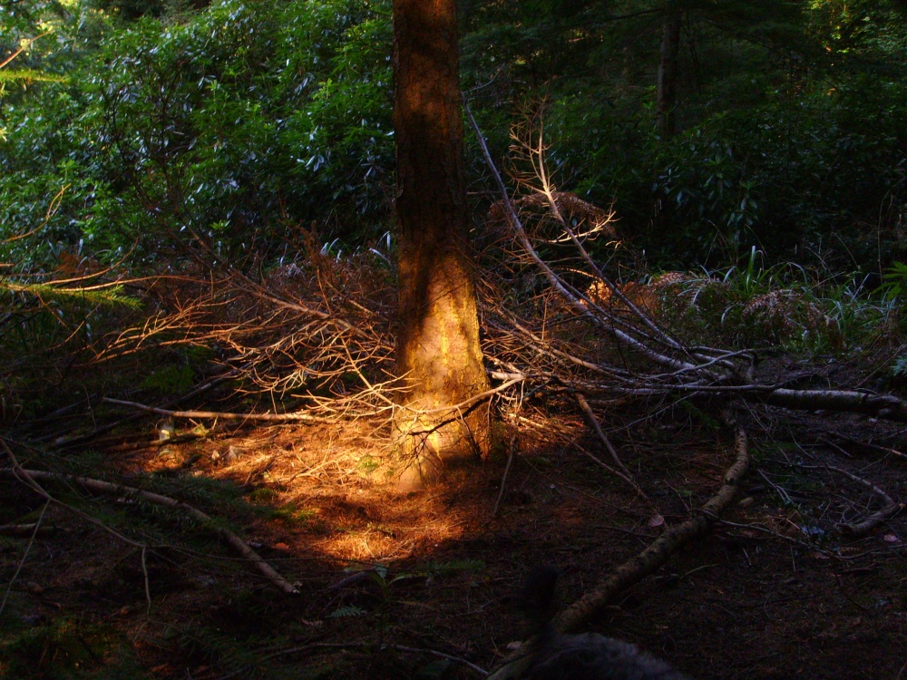 Light in a dark corner