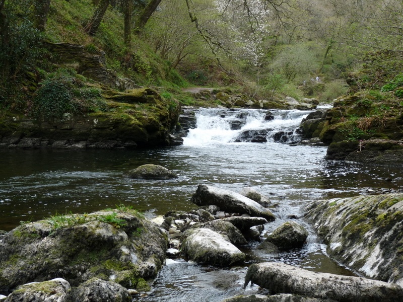 Watersmeet photo by Pat Trout