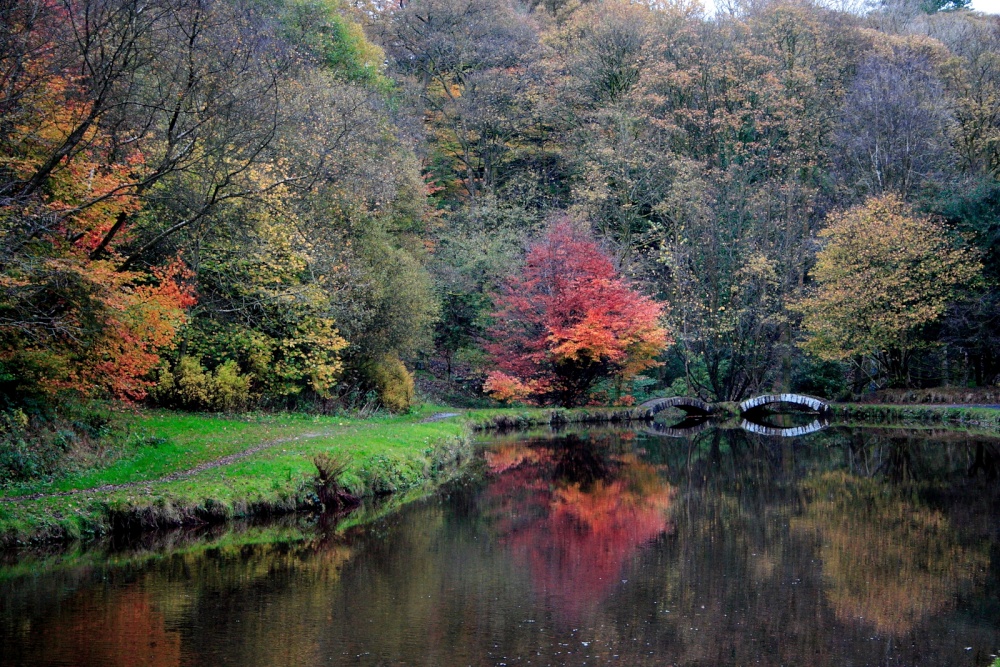 Photograph of Ornamental Lake in Sunnyhurst Woods
