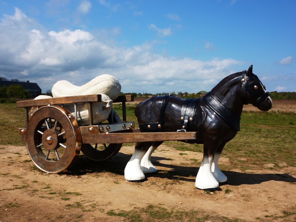 Photograph of A life sized Shirehorse in a field next to Snape Maltings