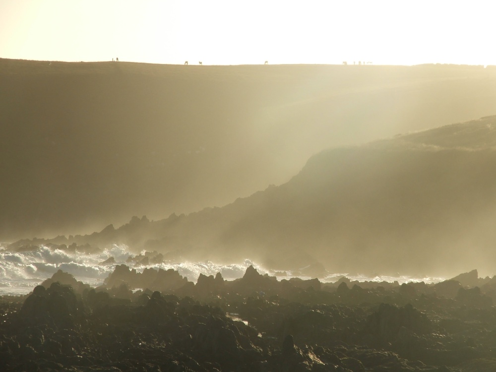 Photograph of Manorbier Beach by Graham Willetts