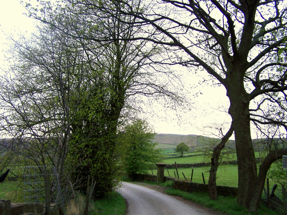 Photograph of Diggle