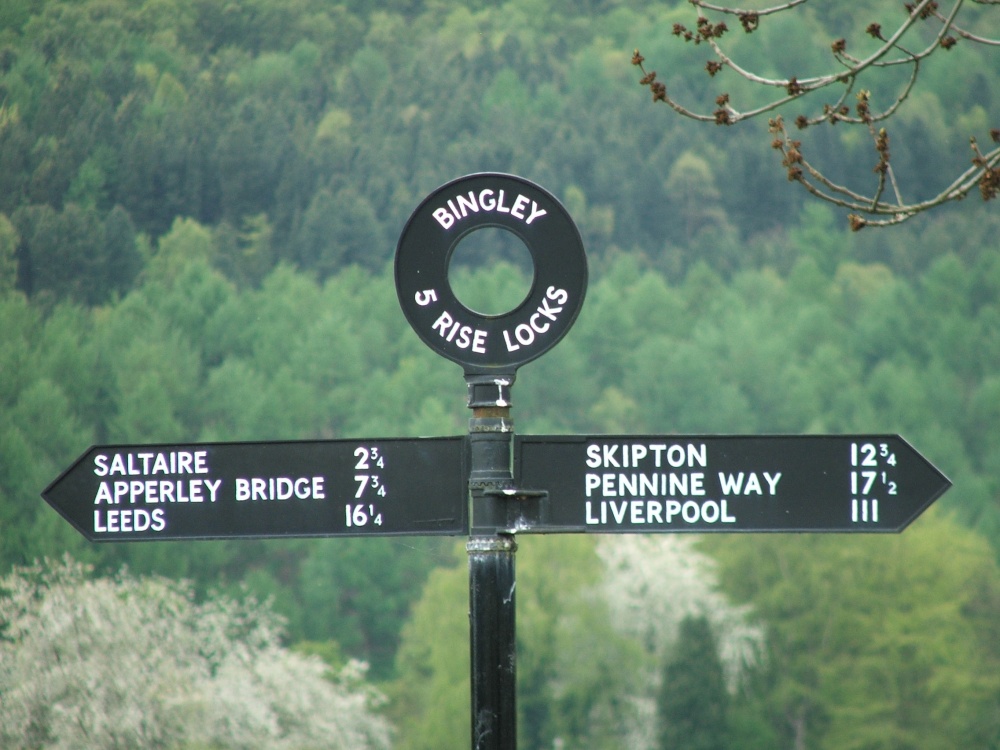 Which way are you going!