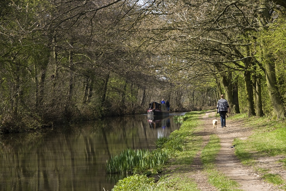 Photograph of Coventry Canal near Fradley Junction