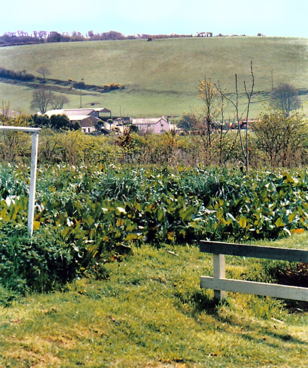 View from Porfell Animal Land.