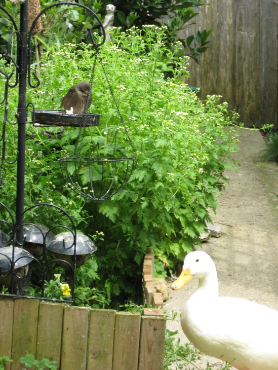 A picture of Kings Worthy