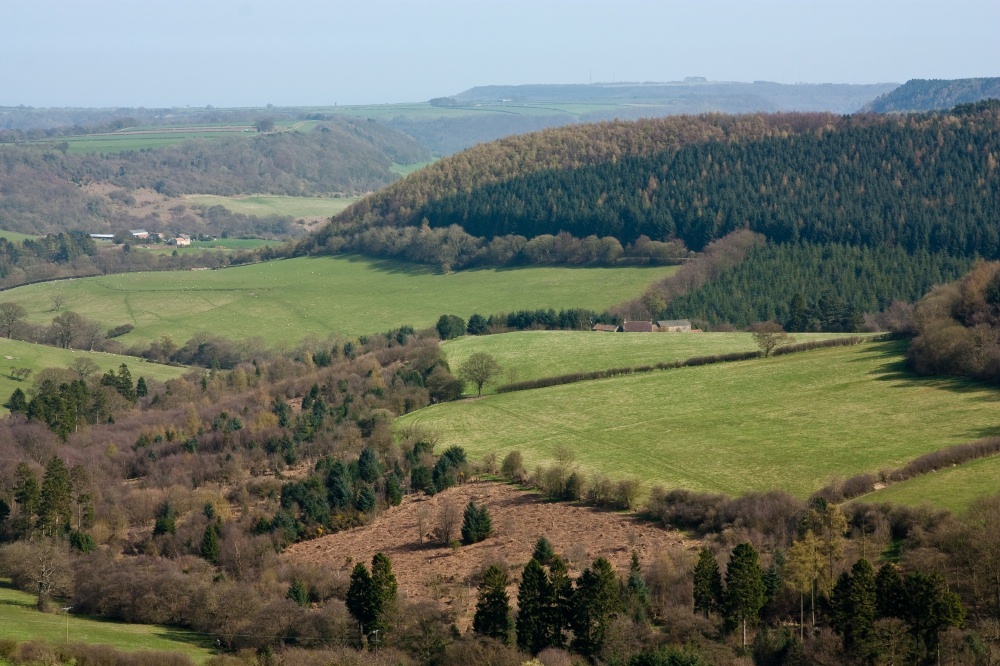 Photograph of View from Dalby top
