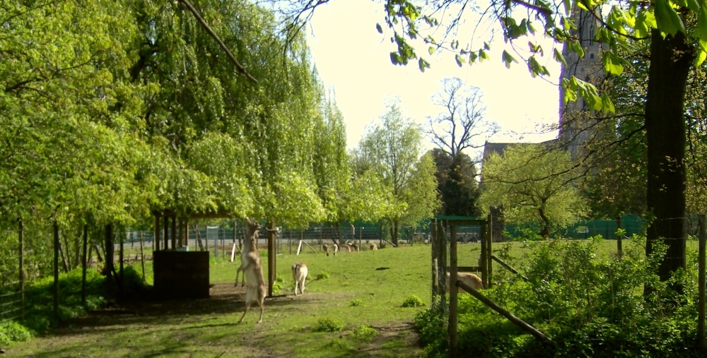 Clissold Park