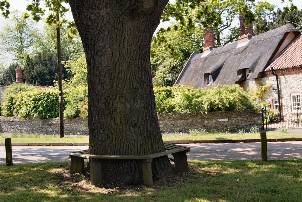 Photograph of Rest a while