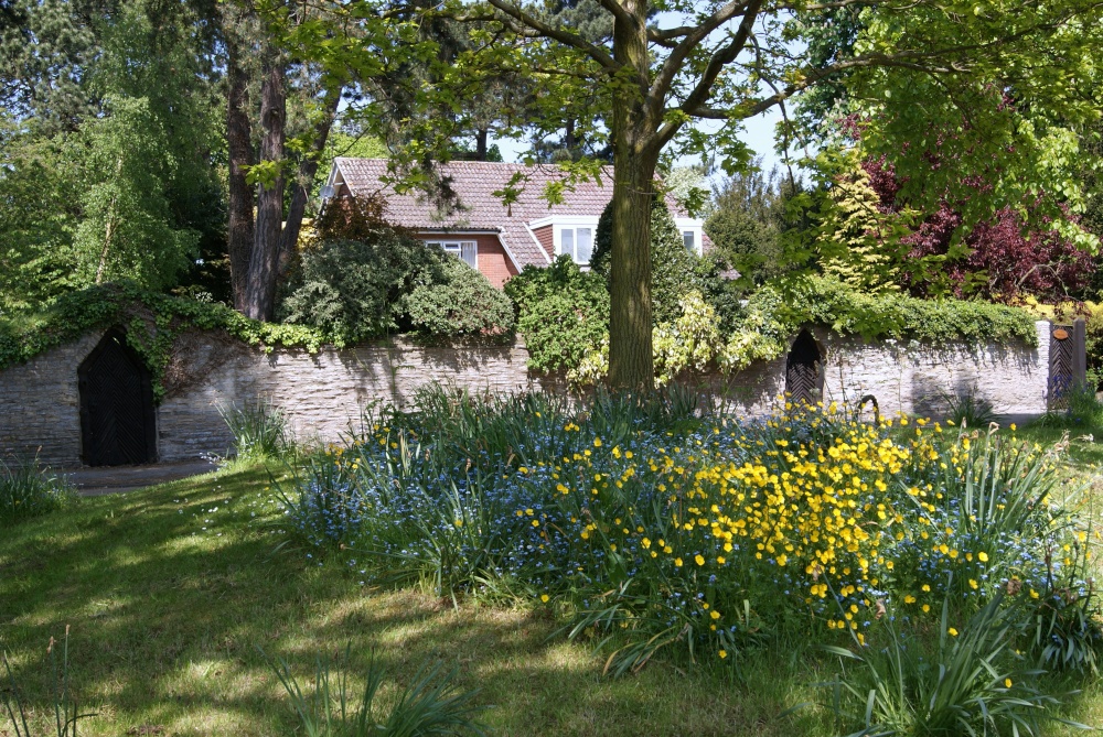 Photograph of Trees and flowers