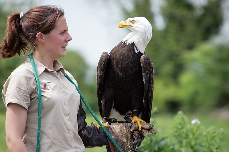 The Hawk Conservancy, Weyhill, Hampshire