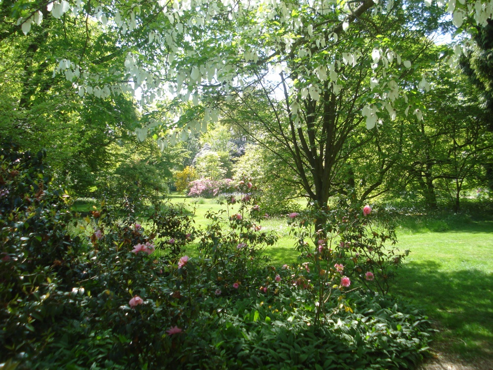 Photograph of Peace and quiet