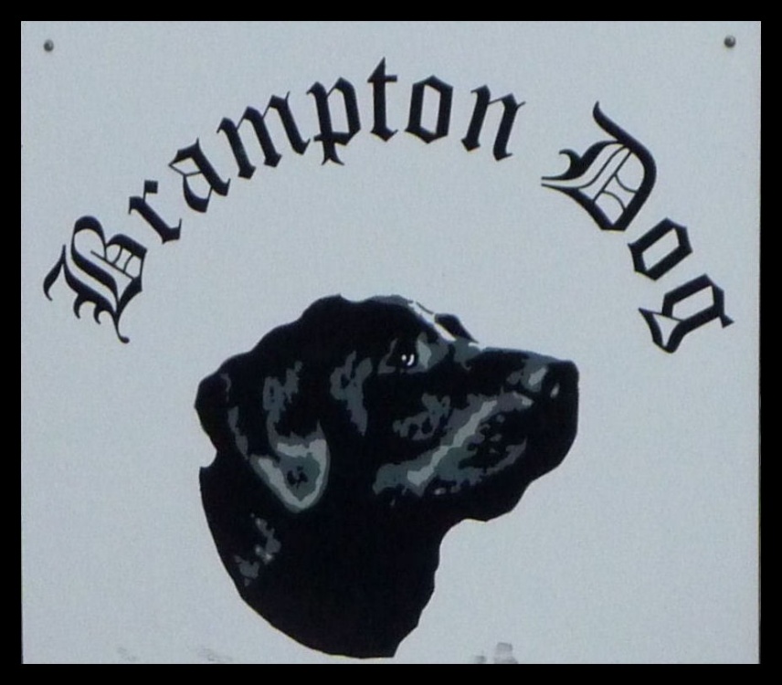 The Old Brampton Dog
