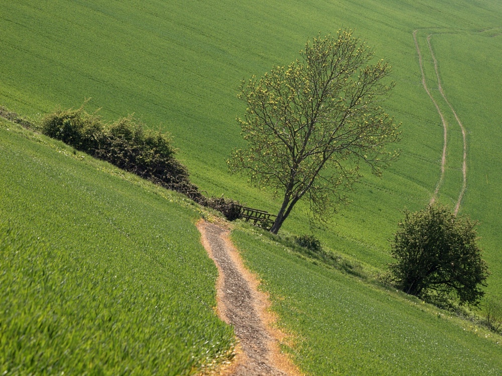 Footpath and footbridge at Hillesden, Bucks
