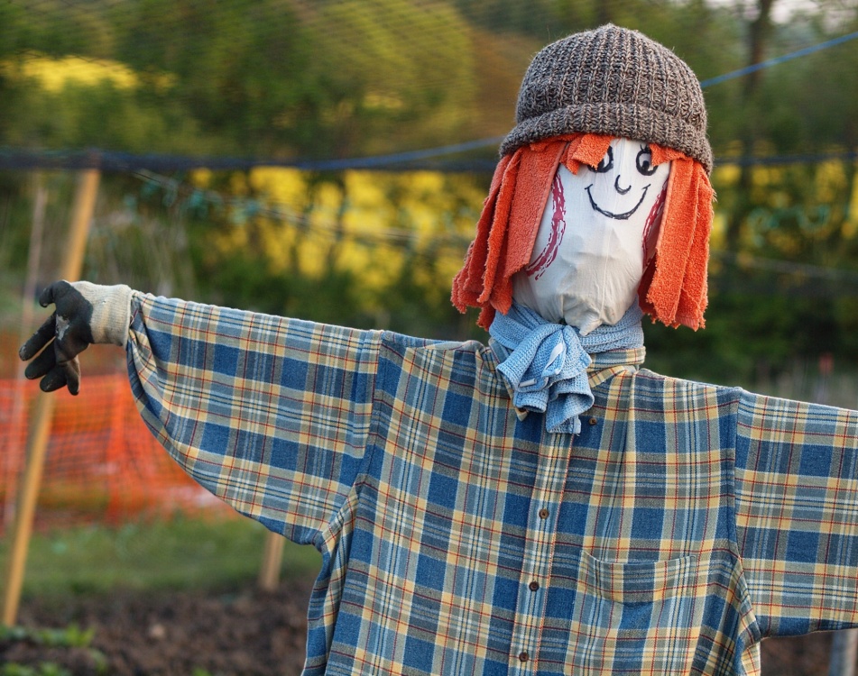 2010 model Scarecrow at Steeple Claydon allotments, Bucks