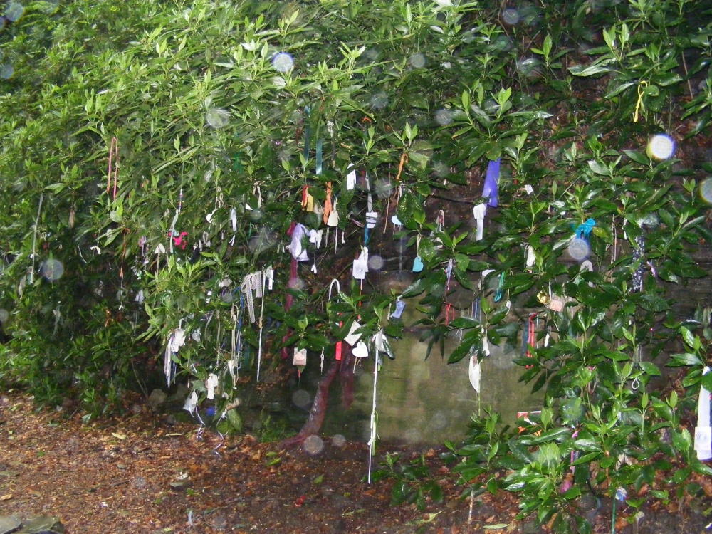 The tree of Cloutees