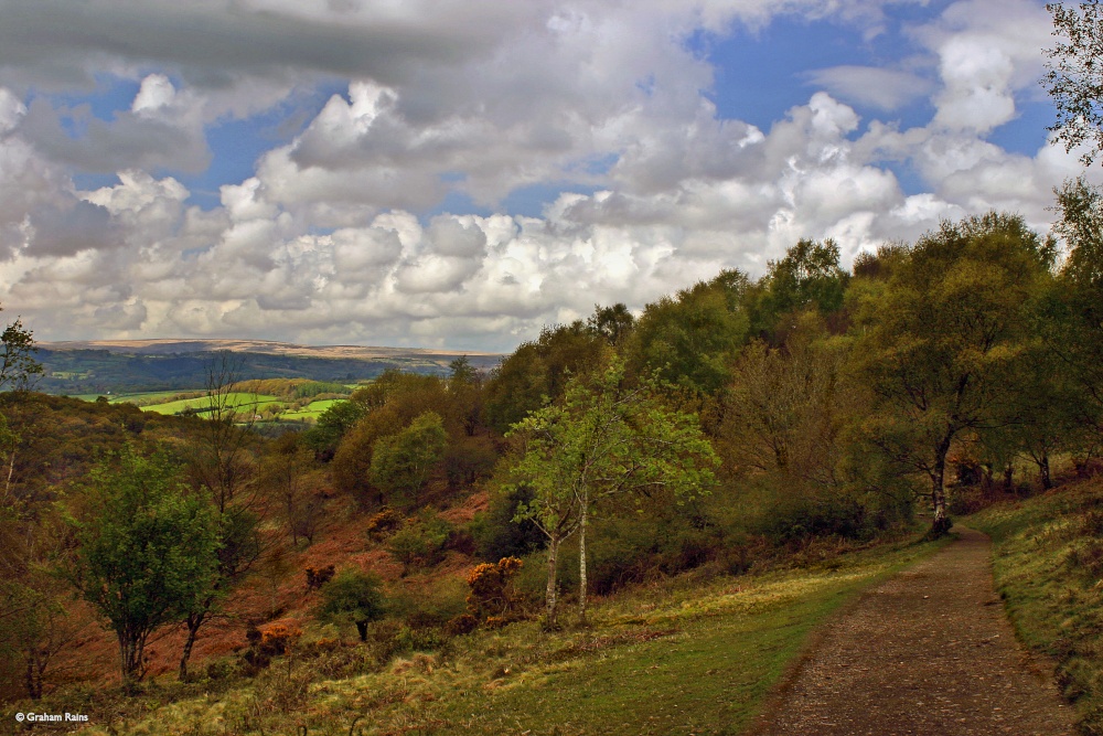 Photograph of On the edge of Dartmoor