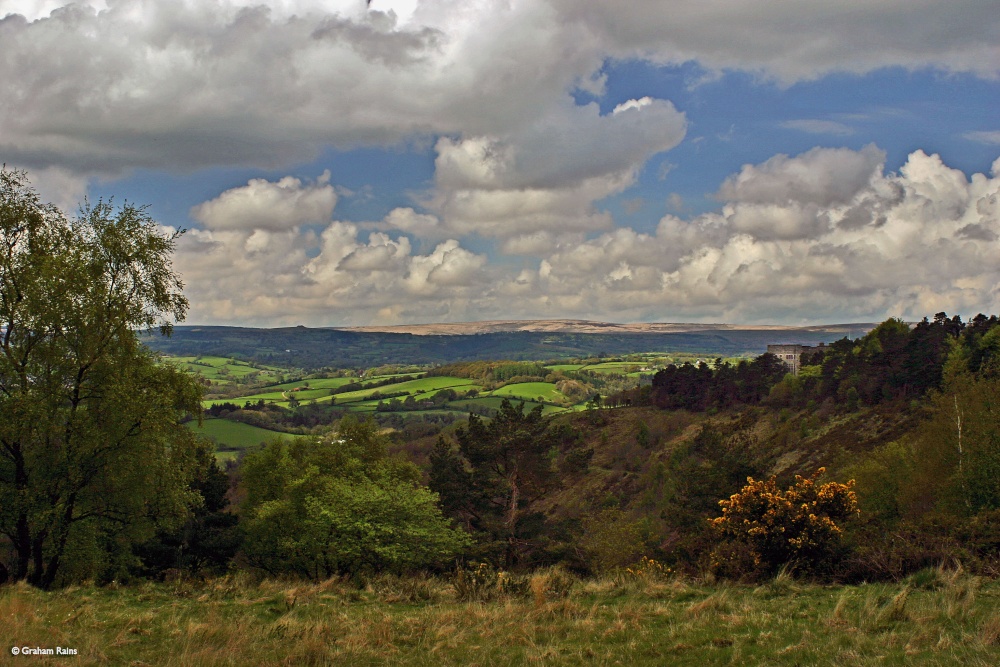 On the edge of Dartmoor