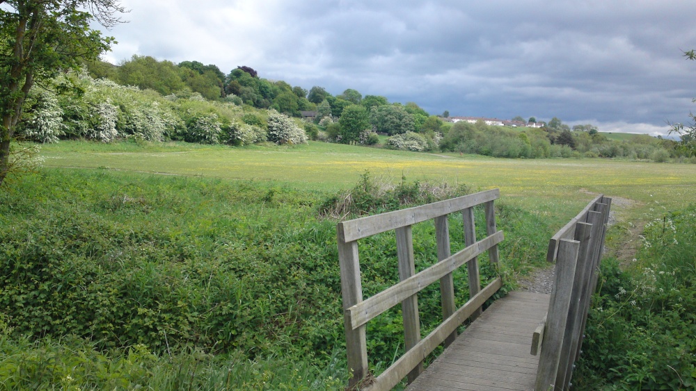 The Meadow, Willington