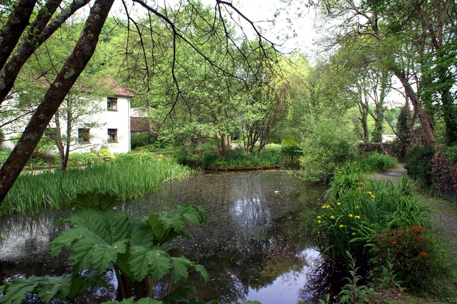 Photograph of The pond.