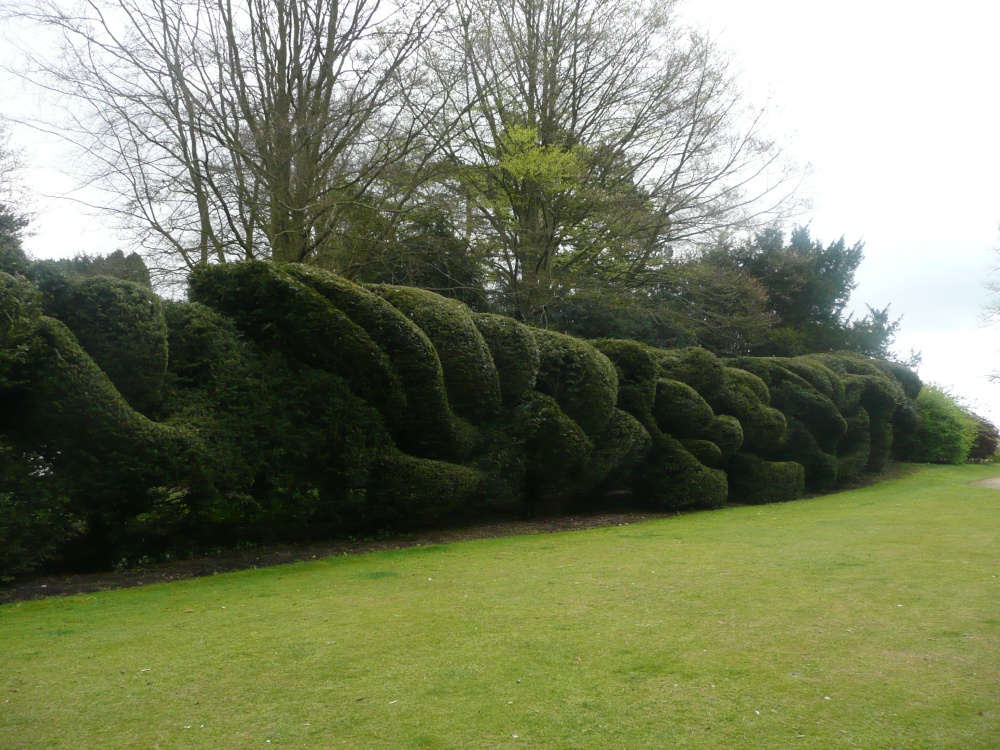 Photograph of Hedge Artwork 1
