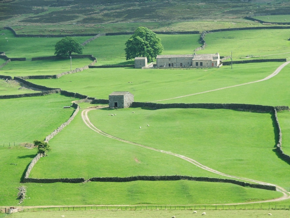 The Dales