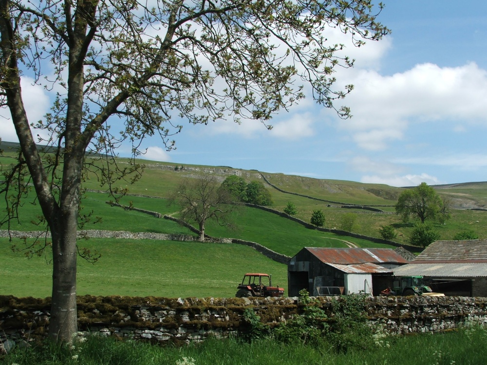 Swaledale photo by Graham John Willetts